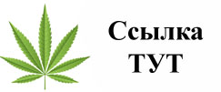 Купить наркотики в Каменск-Уральске
